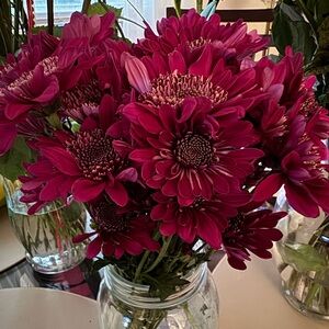 Meet your Posher, Jessenia.